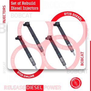 Ex631089 - Set of Rebuild Diesel Injectors - 4 Injectors Set - $1,000.00+$400.00 Core Free Shipping in all orders