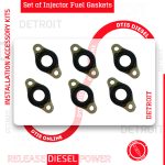Set Injector Fuel Gasket